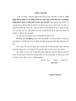 Luận văn thạc sĩ Xây dựng công trình thủy: Giải pháp khoan phụt xử lý chống thấm cho nền công trình thủy lợi và phương pháp khoan phụt xi măng đất sét cho nền bồi tích