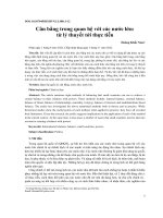 CÂN BẰNG TRONG QUAN HỆ VỚI CÁC NƯỚC LỚN: TỪ LÝ THUYẾT TỚI THỰC TIỄN