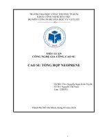 tiểu luận công nghệ gia công cao su cao su tổng hợp neoprene