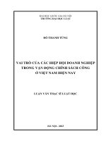 Luận văn thạc sĩ luật học: Vai trò của các hiệp hội doanh nghiệp trong vận động chính sách công ở Việt Nam hiện nay