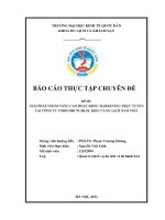 Chuyên đề thực tập: Giải pháp nhằm nâng cao hoạt động Marketing trực tuyến tại Công ty TNHH hội nghị sự kiện và du lịch Nam Việt Tour