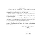 Luận văn thạc sĩ Xây dựng công trình thủy: Giải pháp kỹ thuật chống thấm cho đập đất khi được tôn cao mở rộng do nhu cầu sử dụng nước và biến đổi khí hậu