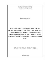 Luận văn thạc sĩ luật học: Các tình tiết tăng nặng định khung trong tội cố ý gây thương tích hoặc gây tổn hại cho sức khỏe của người khác theo Bộ luật hình sư Việt Nam năm 2015 (Trên cơ sở thực tiễn xét xử tại tỉnh Đắk Lắk)