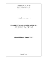 Luận văn thạc sĩ luật học: Tổ chức và hoạt động của quỹ đầu tư chứng khoán tại Việt Nam