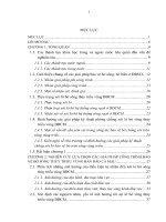 Luận văn thạc sĩ Xây dựng công trình thủy: Nghiên cứu ứng dụng các giải pháp công trình bảo vệ bờ sông thủy triều vùng bán đảo Cà Mau, áp dụng cho đoạn bờ hữu của sông Gành Hào