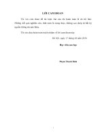 Luận văn thạc sĩ Xây dựng công trình thủy: Nghiên cứu thực nghiệm xác định khả năng tháo của đập tràn xả lũ Bản Mòng - tỉnh Sơn La