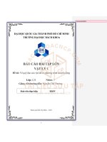 báo cáo bài tập lớn vật lý 1 đề tài vẽ quỹ đạo của vật khi có phương trình chuyển động