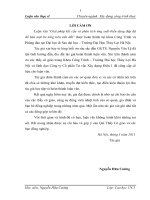 Luận văn thạc sĩ Xây dựng công trình thủy: Giải pháp kết cấu và phân tích ứng suất biến dạng đập đá đổ bản mặt bê tông trên nền đất