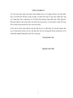 Luận văn thạc sĩ Quản lý kinh tế: Phát triển nguồn nhân lực tại Trung tâm nước sinh họa vệ sinh môi trường nông thôn tinh Thái Nguyên