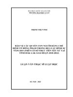 Luận văn thạc sĩ luật học: Bảo vệ các quyền con người bằng chế định về đồng phạm trong bộ luật hình sự năm 2015 (Trên cơ sở thực tiễn xét xử tại tỉnh Đắk Lắk giai đoạn 2018-2022)