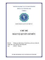 buổi thảo luận tuần thứ tư chủ đề bảo vệ quyền sở hữu