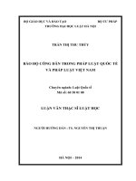 Luận văn thạc sĩ luật học: Bảo hộ công dân trong pháp luật quốc tế và pháp luật Việt Nam