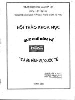 Hội thảo khoa học: Quy chế Rôm về Toà án hình sự quốc tế