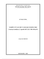 luận án tiến sĩ nghiên cứu sơ chế và bảo quản rong nho caulerpa lentillifera j agardh 1837 sau thu hoạch