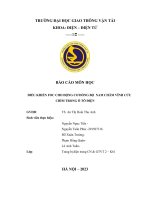 báo cáo môn học điều khiển foc cho động cơ đồng bộ nam châm vĩnh cửu chìm trong ô tô điện