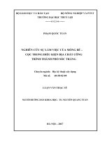 Luận văn thạc sĩ Địa kỹ thuật xây dựng: Nghiên cứu sự làm việc của móng bè - cọc trong điều kiện địa chất công trình thành phố Sóc Trăng
