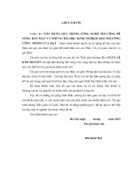 Luận văn thạc sĩ Xây dựng công trình thủy: Xây dựng quy trình công nghệ thi công bê tông bản mặt và những bài học kinh nghiệm khi thi công công trình Cửa Đạt