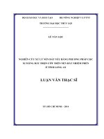 Luận văn thạc sĩ Địa kỹ thuật xây dựng: Nghiên cứu xử lý nền đất yếu bằng phương pháp cọc xi măng đất trộn ướt trên nền đất nhiễm phèn ở tỉnh Long An