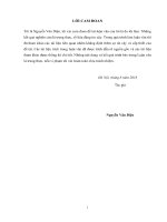 Luận văn thạc sĩ Kỹ thuật tài nguyên nước: Nghiên cứu ảnh hưởng của biến đổi khí hậu đến chế độ tưới cho lúa vùng ven biển Bắc Bộ