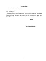 Luận văn thạc sĩ Địa kỹ thuật xây dựng: Nghiên cứu giải pháp móng hợp lý cho công trình xây dựng khu vực thành phố Sóc Trăng