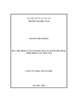 Luận văn thạc sĩ luật học: Quy chế pháp lý của tổ chức bảo vệ người tiêu dùng theo Pháp luật Việt Nam