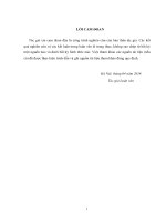 Luận văn thạc sĩ Kỹ thuật cơ sở hạ tầng: Nghiên cứu xác định quy mô hợp lý trạm bơm và hồ điều hòa của hệ thống thoát nước lưu vực Đông Mỹ, Thành phố Hà Nội