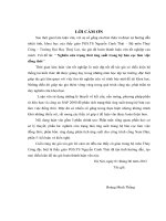 Luận văn thạc sĩ Xây dựng công trình thủy: Nghiên cứu trạng thái ứng suất trong hệ bản cọc làm việc đồng thời