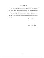 Đánh Giá Thành Phần Và Giá Trị Dinh Dưỡng Của Thóc Và Gạo Lật Dùng Làm Thức Ăn Nuôi Lợn Ở Việt Nam