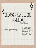 chương 8 năng lượng sinh khối