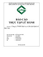 báo cáo thực tập lữ hành tên đơn vị công ty tnhh dịch vụ và du lịch quốc tế phố việt