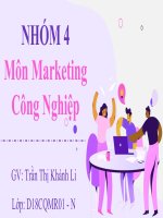 phân tích chiến dịch marketing b2b cho sản phẩm sơn dulux của công ty akzo nobel