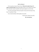 Luận văn thạc sĩ: Phân tích tài chính Công ty cổ phần hóa chất Đại Thịnh