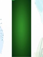 thông tin về milo đối thủ cạnh tranh milo