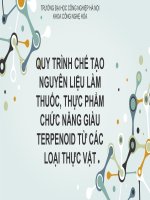 quy trình chế tạo nguyên liệu làm thuốc thực phẩm chức năng giàu terpenoid từ các loại thực vật 2