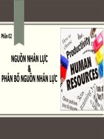 nguồn nhân lực phân bố nguồn nhân lực