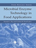Microbial Enzyme Technology in Food Applications :  Food Biology series /  Ramesh C.Ray; Cristina M.Rosell