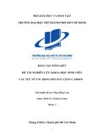 đề tài nghiên cứu khoa học sinh viên các yếu tố tác động đến dấu chân carbon