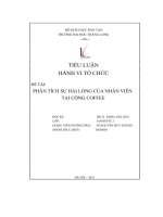 tiểu luận hành vi tổ chức đề tài phân tích sự hài lòng của nhân viên tại cộng coffee