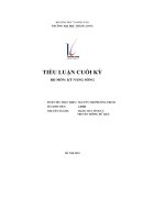 tiểu luận cuối kỳ 1 hãy ứng dụng hoạt động tree of life viết về bản thân bạn để người đọc có thể hiểu rõ hơn về bạn