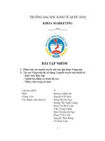 phân tích các nguồn tuyển mộ của tập đoàn vingroup