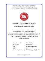 ảnh hưởng của trò chơi hóa gamification đến sự gắn kết của gen z với ví điện tử momo tại thành phố hồ chí minh