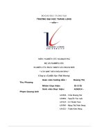 dự án nghiên cứu nghiên cứu phát triển sản phẩm mới lăn khử mùi thái dương công ty cổ phần sao thái dương