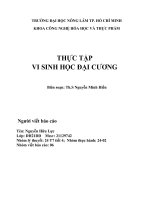 thực tập vi sinh học đại cương bài 1 môi trường dinh dưỡng phương pháp khử trùng