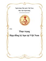 Tiểu Luận - Công Cụ Tài Chính Phái Sinh -  Đề Tài - Thực Trạng Hợp Đồng Kỳ Hạn Tại Việt Nam