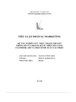 tiểu luận digital marketing đề tài nghiên cứu thực trạng truyền thông số của hoàng hà pc trên nền tảng facebook ads và một số đề xuất cải thiện