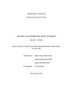 bài tiểu luận marketing quốc tế mk418 xây dựng chiến lược thâm nhập thị trường trung quốc của mỳ chũ