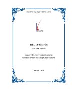 tiểu luận môn e marketing giới thiệu chung về greenfeed