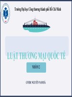 vận chuyển hàng hóa xuất nhập khẩu và những vấn đề pháp lý