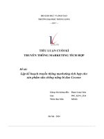 tiểu luận cuối kì truyền thông marketing tích hợp đề tài lập kế hoạch truyền thông marketing tích hợp cho sản phẩm sữa chống nắng bí đao cocoon