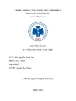 tiểu luận cơ sở khoa học vật liệu hình học tinh thể sai sót trong cấu trúc chất rắn